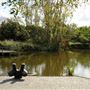 Lavender Pond Nature Park