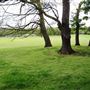 South Norwood Lake