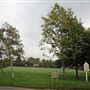 Woodcote Village Green