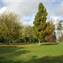 Waddon Ponds