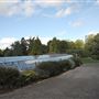 Coombe Wood