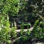 Chelsea Physic Garden