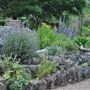 Chelsea Physic Garden
