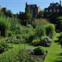 Chelsea Physic Garden