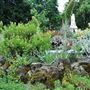 Chelsea Physic Garden
