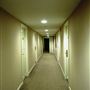 The Lensbury Resort