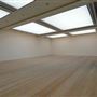 Saatchi Gallery