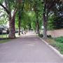 Acton Park