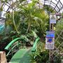 Wolves Lane Horticultural Nursery