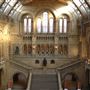 Natural History Museum