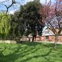 College Farm