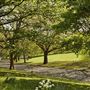Alexandra Palace - Park