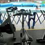 Charlton Lido and Lifestyle Club
