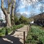 Duncan Terrace and Duncan Terrace Gardens