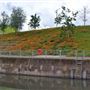Queen Elizabeth Olympic Park - South Park General Areas (QEOP)