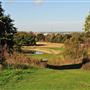 Mitcham Common