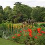 Beddington Park & The Grange