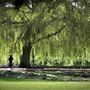 Beddington Park & The Grange