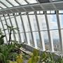 Sky Garden - 20 Fenchurch Street