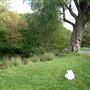 Totteridge Ponds
