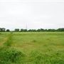 Walthamstow Marshes