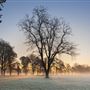 Morden Hall Park