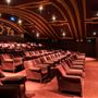 The Castle Cinema
