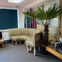 Sneath Studios