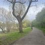 Birchmere Park
