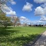 Down Lane Park