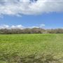 Eltham Park North and Shepherdleas Wood