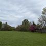 Abbey Hill Park