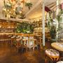 Mr Fogg's House of Botanicals