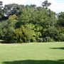 Stephens House & Gardens