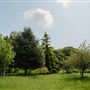 Foxfield Farm
