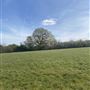 Greenbanks Farm