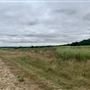 Runaway Farm