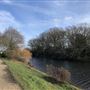 Wanstead Park