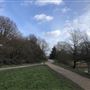 Wanstead Park
