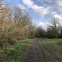 Wanstead Park