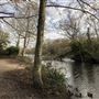 Wanstead Park