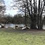 Wanstead Park