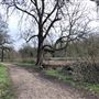 Wanstead Park