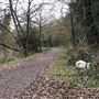 Wanstead Park