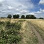 Leyton Marsh