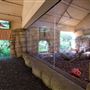 London Zoo