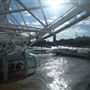 London Eye