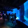 SEA LIFE London Aquarium