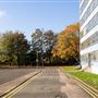 The Lakeside Campus