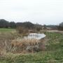 Woodlands Farm